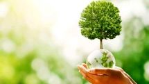 معماری پایدار و تاثیر آن بر حوزه محیط زیست