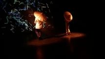 استقبال فرانسویها از نمایش