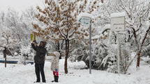 Early morning heavy snow beatifies Tehran